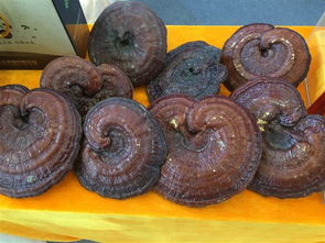 農副產品在電商峰會中占據半壁江山