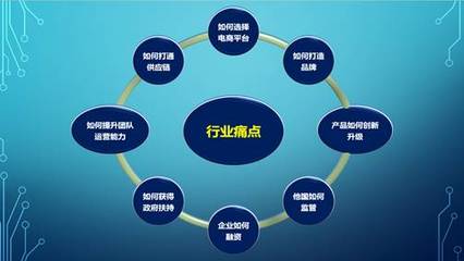 跨境電商經營管理研修項目中的電子商務平臺開發建設